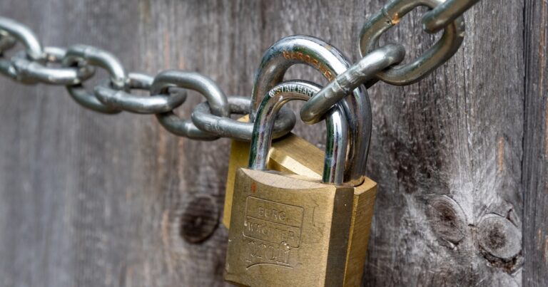 Escudo de seguridad para puerta 9 cosas que mirar en 2026